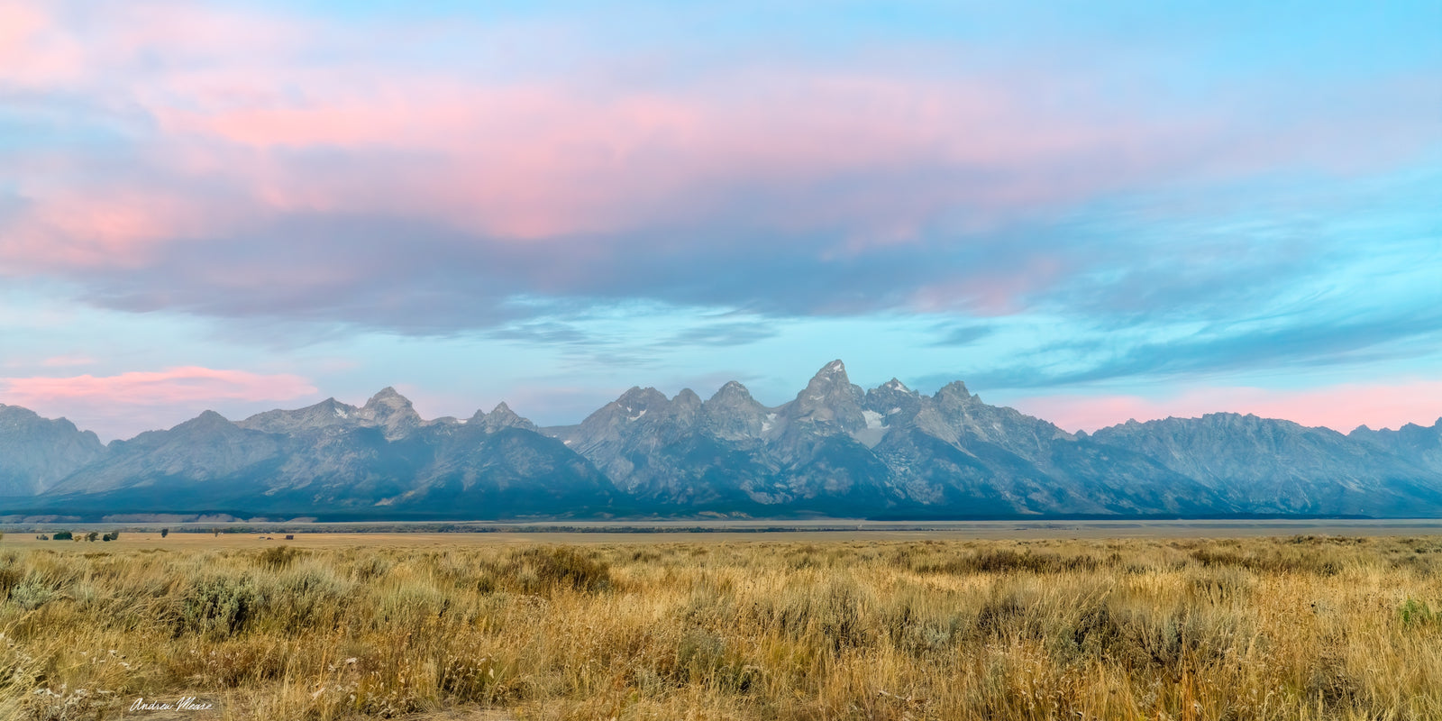 Fine art print panorama of a cotton candy-like sunrise of the Grand Teton Mountain range in Grand Teton National Park and Wyoming – landscape photography by Andrew Mease