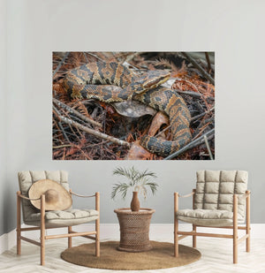 Camouflage