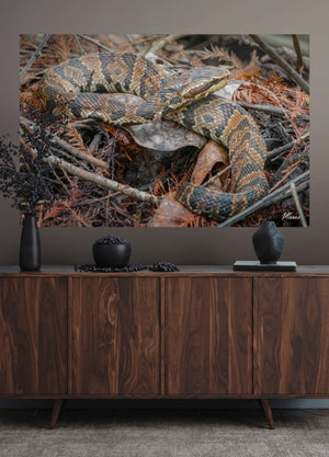 Camouflage