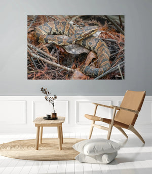 Camouflage