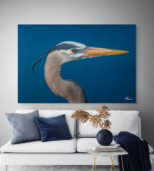 Face of the Blue