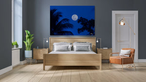 Blue Moon