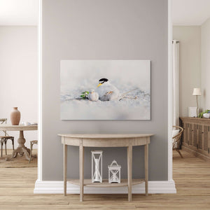 Tender Terns