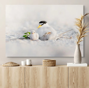 Tender Terns
