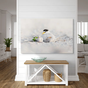 Tender Terns