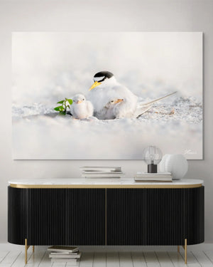 Tender Terns